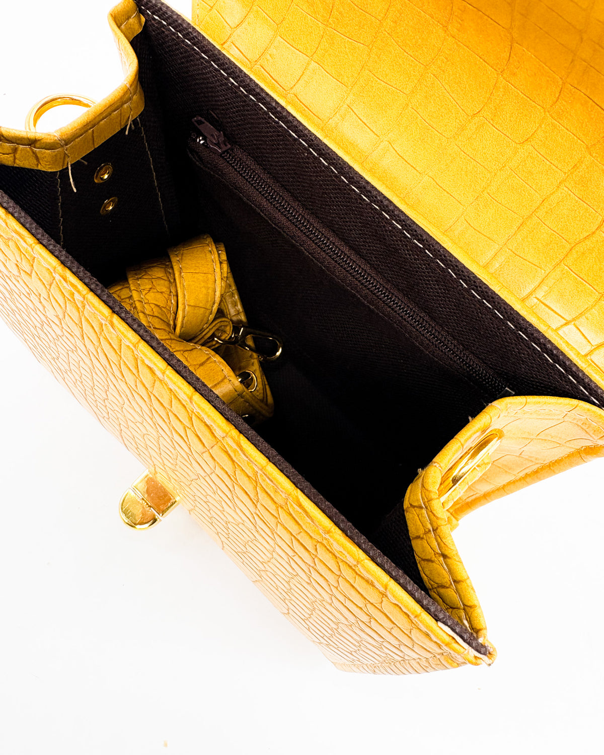 Michelle Mustard - DR PACHANGA